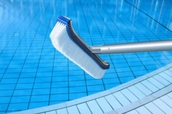 Best Pool Brush