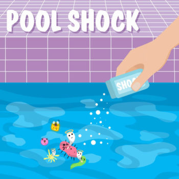 Best Pool Shock