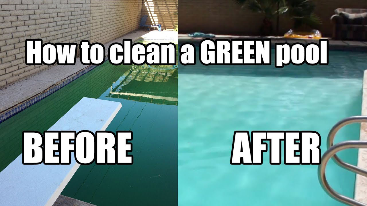 pool still green after adding algaecide
