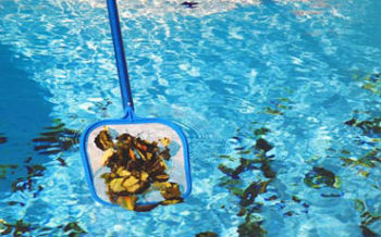 Pool Skimmer Featured Image