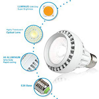 Iledlight LED White Spa Light Bulb